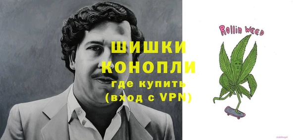 стафф Аркадак