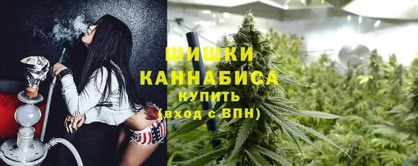 стафф Аркадак