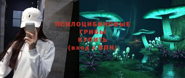 Альфа ПВП Арсеньев